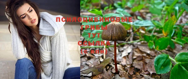 кристаллы Новокубанск