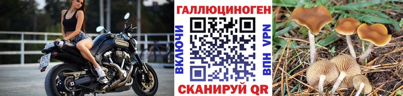 магазин продажи Янаул Галлюциногенные грибы прущие грибы
